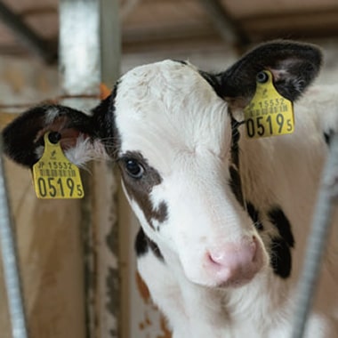 TOPギャラリー01